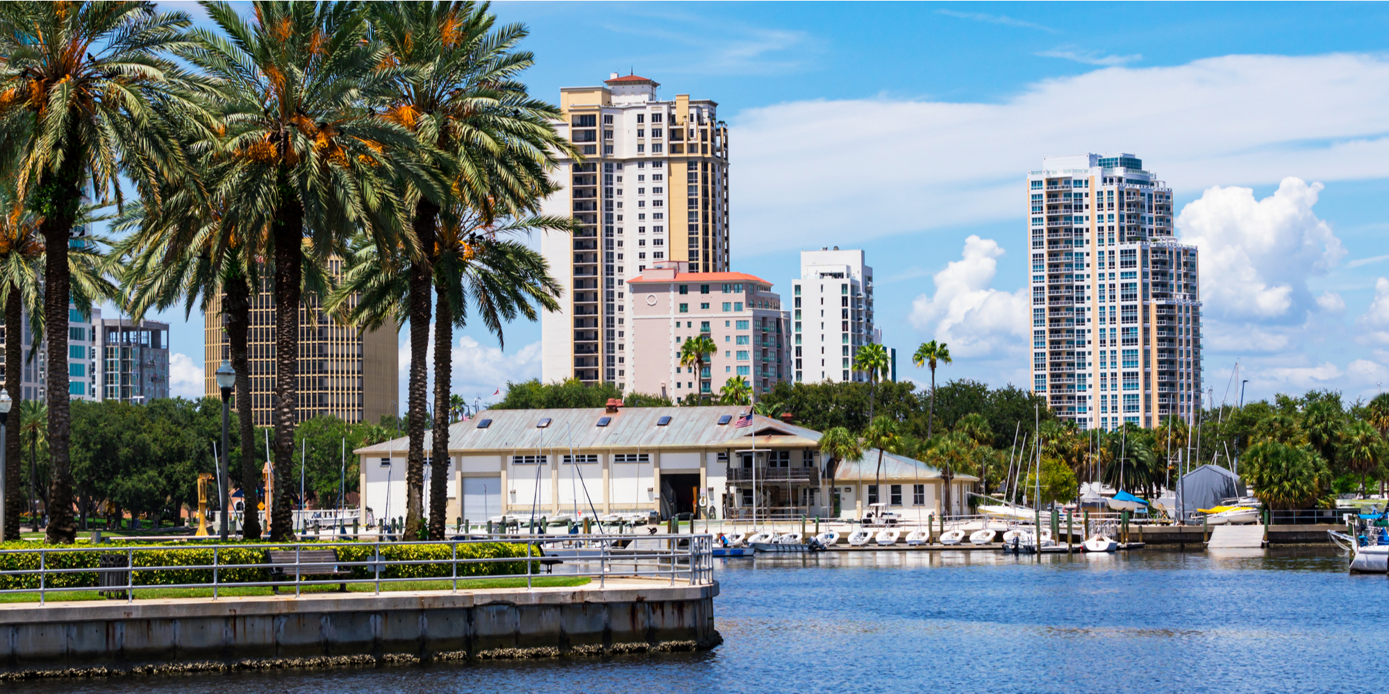 shop local Tampa Bay business