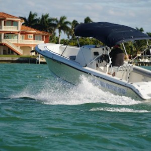 a man driving a speed boat in St Pete